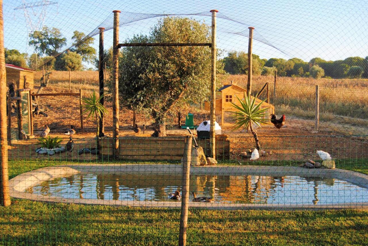 הוילה Grândola Monte D'Vagar By Estilo Lusitano, Com Piscina Privada מראה חיצוני תמונה