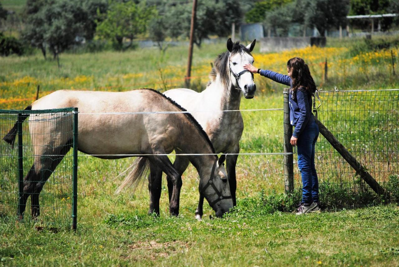 הוילה Grândola Monte D'Vagar By Estilo Lusitano, Com Piscina Privada מראה חיצוני תמונה